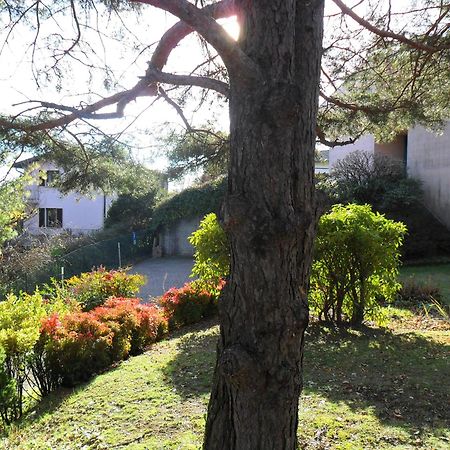 I Tre Faggi Apartamento Albese Con Cassano Exterior foto